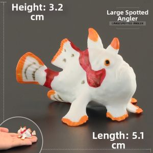 MENGSILE | Educational Ocean Animal Model