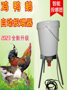 Remote Wifi Control Switch Timer Feeder for Pigeons Chickens Ducks Automatic Feeder Station Nylon Material Washable Design