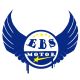 EBS Motor