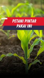 Mahakam Cokro 30 EC 250 ml Insektisida Pestisida Pembasmi Hama Tanaman Jagung