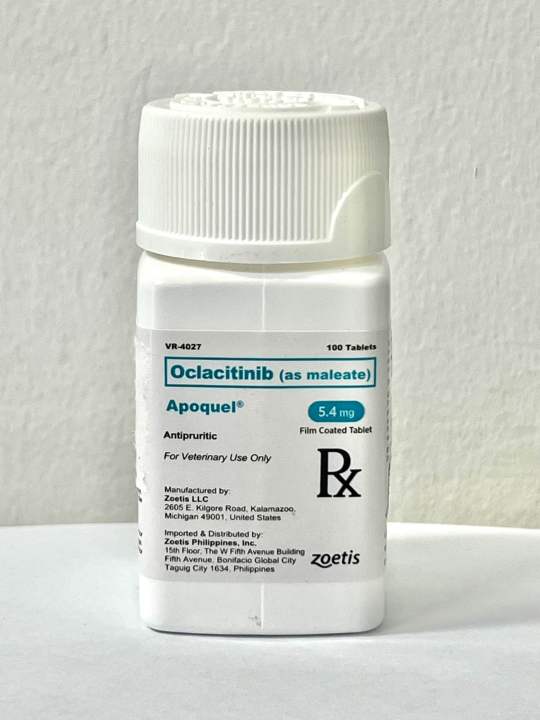 Apoquel for Dogs mg Tablet Zoetis Dog Medication All Life