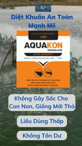 Diệt khuẩn nấm ký sinh trùng vi r/us xử lý trước thả giống chống sốc AquaKon tôm thẻ cá lươn ếch ốc baba