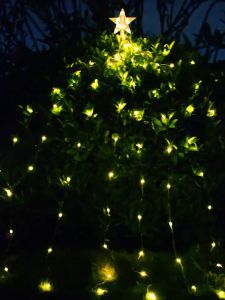 City Goods Waterfall Tree Lights: A 3M LED Decoration with 280LED Solar-Powered Cascade Lights