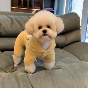 Thickened Fleece Dog Clothes Four Legs Warm Winter Coat for Small Dogs Teddy Bichon Pomeranian Pet Supplies Dog Clothes