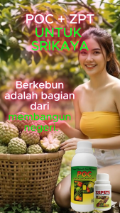 Paket POC + ZPT Srikaya | Pupuk Organik Cair & ZPT Perangsang Bunga Buah Lebat Manis Tahan Rontok