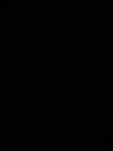 รอกหยดน้ำ Dainamo รอกเบสหยดน้ำ รอกหยดนํ้า แรงลาก 12 กก 6