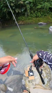 SeaHunter ORION BC Reel Pancing 7.6:1 10+1BB Max Drag 12KG SV Magnetic Brake Brass Gear Drag Clicker Baitcasting Reel