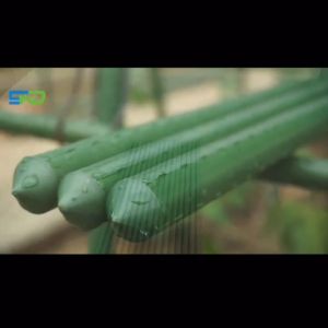 Ống Thép Bọc Nhựa Làm Giàn Leo Đủ Kích Thước