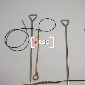 Cây cắm inox + dây xích chân gà rừng chống xoắn