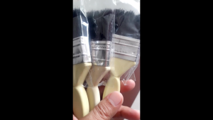 Paint Brush 1PCS Multi-function Black Bristle Globe Plastic Handle 1/2" 3/4" 1" 1-1/2" 2" 2-1/2" 3" 4"