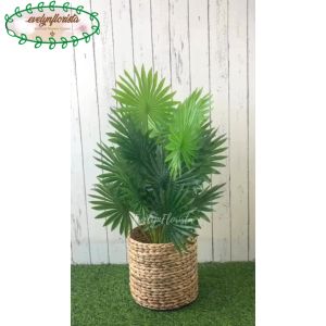 Pohon Daun Palem Kipas Sadeng X12 Semi Latex & Pajangan Dekorasi Pot