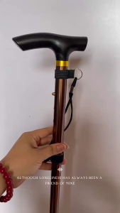 Tongkat Duduk Lipat Jalan Lansia / Alat Bantu Jalan 1 Kaki / Outdoor Five-Section Folding Hiking Pole