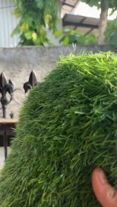 Rumput Sintetis SWISS: Pilihan Terbaik untuk Outdoor