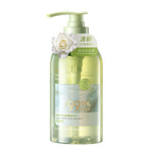 VETES | Stain Removal Antibacterial Underwear Detergent