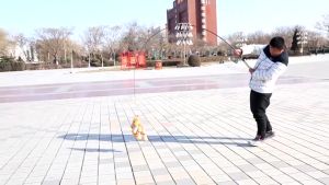 คันเบ็ดตกปลา คันเบ็ด สปิน คันสปินนิ่ง คันเบ็ดรอกสปิน 1.6/1.8/2.1ม เบดตกปลา เบ็ดตกปลา คันเบ็ดเนียวๆ อุปกรณ์ตกปลา