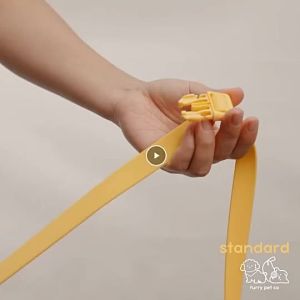 Furry  Co Multi Use Waterproof PVC Leash
