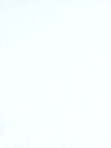 Baseus Simple Mini 3 BS-W529 Magnetic Wireless Charger 15W