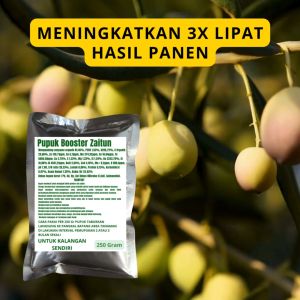 Pupuk Booster Zaitun / Obat Booster Zaitun / Pupuk Booster Zaitun / Pupuk Zaitun