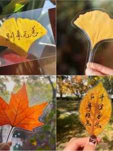 Handmade Leaf Specimen Album Self Adhesive Photographic Laminating Film Decorative Glass Membrane Chinese Brand Minimalist Style