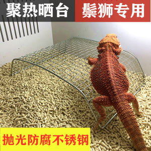 Stainless Steel Basking Platform for Young Lion Tailed Geckos Climbing Rock Scenery Resting Stage Pet Reptile Enclosure Accessories