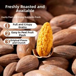 Open Shell Chinese Pistachios Nuts