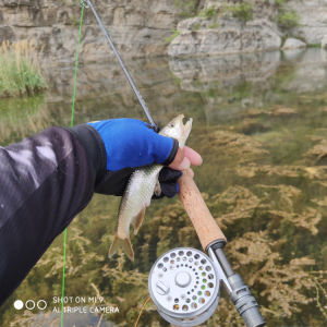 Small Fish Fly Rod Carbon Fiber