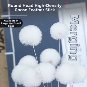 Ear Cleaning Kit Feather Swab