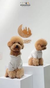 Raya Koko & Dress - Baju Kucing dan Baju Anjing POMAPOO Premium Berkualitas