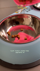 Mangkuk Makan Minum Hewan 2in1 Stainless Pet Feeder Kucing Anjing Double Bowl Anti Karat