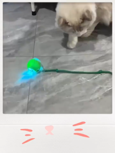 Mainan Bola Anabul Interaktif Otomatis Anjing Kucing Mainan Peliharaan Interaksi Cerdas Kucing Dan Anjing Cat Rolling Ball Mainan Tali Ballpet Toy Shenar