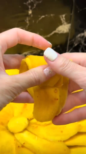 3F Food Delicious Dried Mango – Natural Sweet Snack No Sugar No Fat | Soft & Chewy