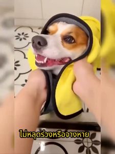 ผ้าเช็ดขนสัตว์เลี้ยง ซึมซับน้ำและแห้งไว ขนาดใหญ่และหนากว่า นัขผ้าขนหนูอาบน้ํา เช็ดขนแมว สุนัข กระต่าย ผ้าไมโครไฟเบอร์ ผ้าขนหนูดูดซับสัตว์เลี้ยง บน้ําอุปกรณ์อาบน้ํา ผ้าขนหนูอา