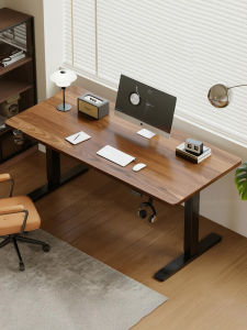 SAMEDREAM | Electric Lifting Desk for Home Computer and E-sports Work Study