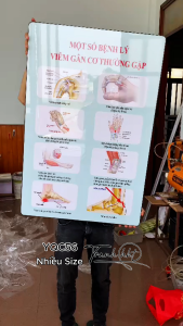 Tranh viêm gân tranh hệ xương khớp Tranh Y khoa bệnh lý viêm gân cơ thường gặp tráng gương treo tường YQC56