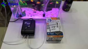 Máy Sục Khí Chạy Êm 2 Vòi GEX E-AIR 6000WB Cho Bể Cá (tặng kèm 2 dây quả sủi)