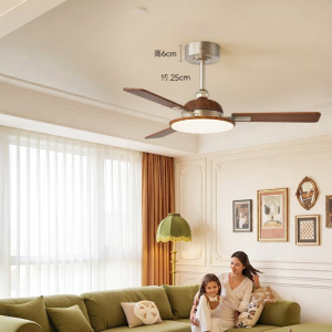 HUIPU ZHAOMING | Vintage Style Intelligent Eye-Protecting Ceiling Fan Light