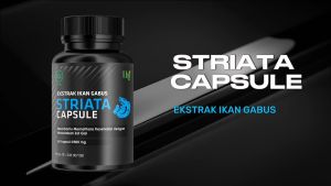 Herbal Striata Kapsul dari Ikan Gabus kaya akan Albumin