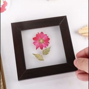 2n1 Frame & Coaster Orange with Real Pressed Flower Artwork