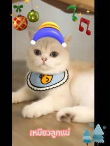 petme 💎 ปลอกคอแมว ปลอกคอหมา  ปลอกคอสัตว์เลี้ยง ผ้ากันเปื้อนแมว ลายน่ารัก สินค้าพร้อมส่ง