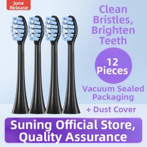 Early June Compatible FLYCO Electric Toothbrush Head FT7106 Special TH01 Replacement Toothbrush Head Deep Cleaning Adult Normal Specification