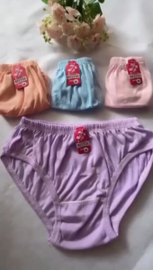GROSIR 12pcs - 6pcs - 3pcs Celana Dalam wanita Jumbo Katun