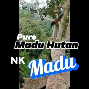 Madu Asli Murni Original Sumbawa Madu Hutan Liar Kemasan Botol Plastik Isi 500 ML