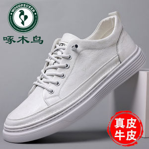 Woodpecker Mens Casual Leather Shoes Spring 2025 New Style Breathable Comfortable Fashionable Flat Heel Rubber Outsole