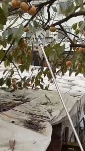 Dụng Cụ Hái Trái Cây Trên Cao Kèm Túi Vải Size Lớn 16Cm