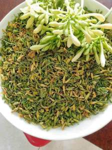 Hoa Đu Đủ Đực Sấy Khô 100gr [ Nguyên Chất] Hàng Loại 1- Ngừa ung thư Ổn định đường huyết Tốt cho hệ hô hấp