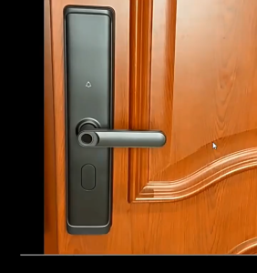 ⭐️Local Delivery⭐️(No lock core)Smart Door Lock with Fingerprint Password 5-in-1 Keyless Entry Digital Door Lock with APP Remote Control Emergency Door Opening Function Smart Door Lock for Home Apartment Hotel
