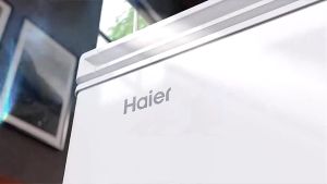 Haier 103L 6-in-1 Convertible Chest Freezer / Anti-Bacterial / Fast Freeze - 4 Stars BD-138HME WAH LEE STORE