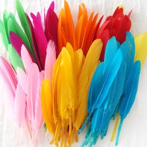 100pcs Beautiful Natural Goose Feathers for DIY Accessories, Home Decor, and Jewelry Making - 4-6 inches (8-15cm) Long, High Quality Material in Assorted Colors