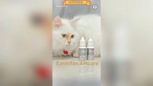 AmCare Obat Earmites Kucing 15ml: Solusi Telinga Kucing Berkualitas