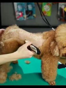 Dog Grooming Shaver Razor Set Pet Hair Trimmer Electric Clippers Pet Razor Grooming Set Professional